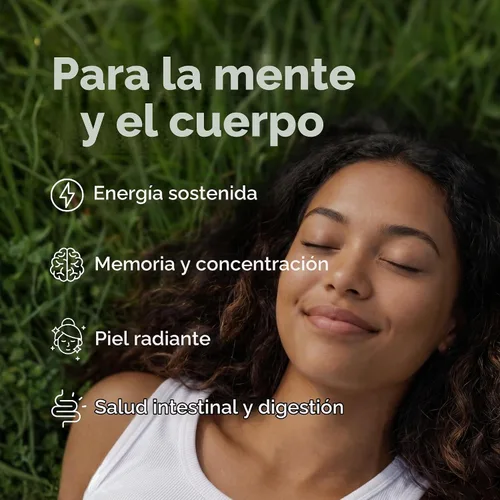 Vista 5 de Kuli Kuli Pure Organic Moringa Leaf Cápsulas de energía natural Superfood 60ct