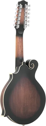 Vista 2 de Gold Tone F-Style - Guitarra de mando de 12 cuerdas con estuche rígido
