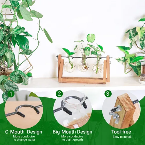 Vista 2 de Estación de propagación, terrario de plantas, regalos para amantes de las plantas para mujeres, soporte de corte de plantas, decoración del hogar