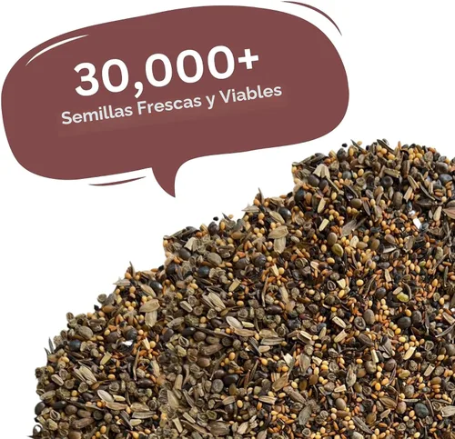 Vista 4 de Mix de semillas de flores silvestres para mariposas y colibríes – Más de 30.000 semillas – Paquete extra grande a granel resellable de 1 oz