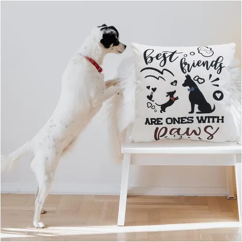 Vista 8 de Fundas de almohada para perro, fundas de almohada para mascotas, funda de almohada de algodón y lino para sofá, cama, 18 x 18 pulgadas, juego de 4