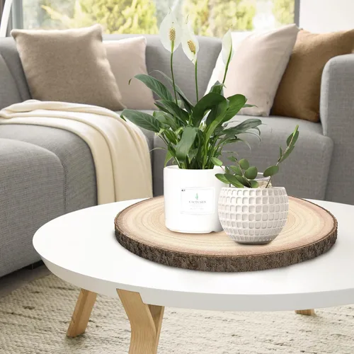 Vista 7 de Rebanadas de madera para centros de mesa 4 piezas, rodajas redondas de madera para manualidades, círculos y losas de madera rústica, discos