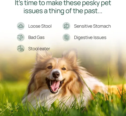 Vista 3 de pawTree Gastro Pro Plus® para perros y gatos - Probióticos, prebióticos y enzimas digestivas - para estómago sensible, problemas digestivos, heces