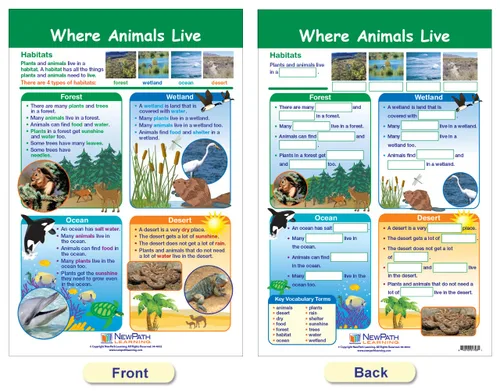 Vista 6 de NewPath Learning -94-1501 All About Animals - Juego de tablones de anuncios (paquete de 5)