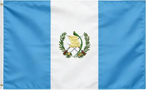 Vista 12 de Bandera de Estados Unidos, bandera de Estados Unidos, 3 x 5 pies, banderas ligeras de poliéster con 2 ojales de latón para decoraciones de fiestas