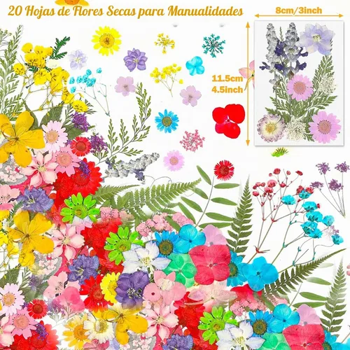 Vista 5 de Evatage - 200 flores secas prensadas pequeñas para manualidades de resina 200 piezas de flores prensadas
