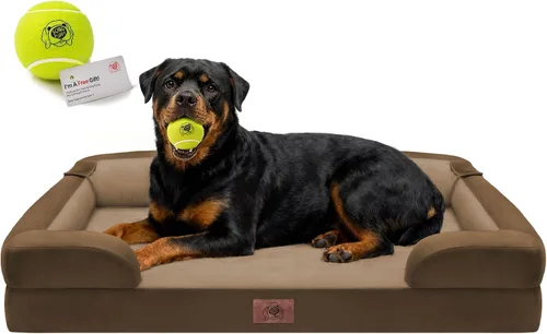 Vista 46 de Cama ortopédica impermeable para perros medianos y grandes Beige
