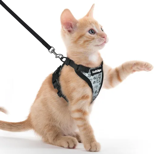 Vista 99 de rabbitgoo Cat Harness and Leash Set, Escape Proof Vest, XXS, Berry Pounce Soft Breathable Mesh, No-choke Adjustable Fit, Snap Buckles, Sturdy