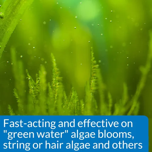 Vista 3 de API Algaefix - Solución de control de algas, botella de 1.25 onzas