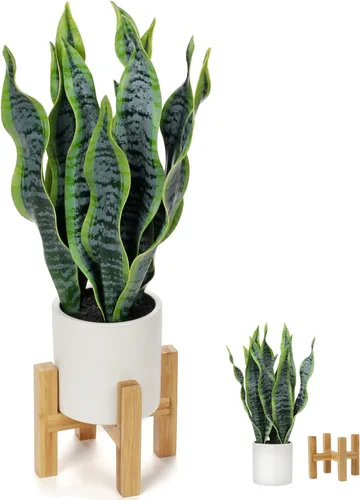 Vista 10 de Hollyone Planta de serpiente falsa de 12 pulgadas, pequeña planta de serpiente artificial en maceta con maceta de cerámica, planta Sansevieria