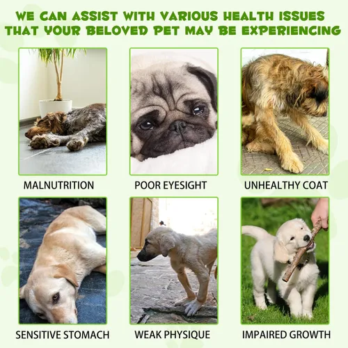 Vista 4 de Probióticos para perros, probióticos 3 en 1 para perros, probióticos para perros para apoyo digestivo, suplementos probióticos para perros