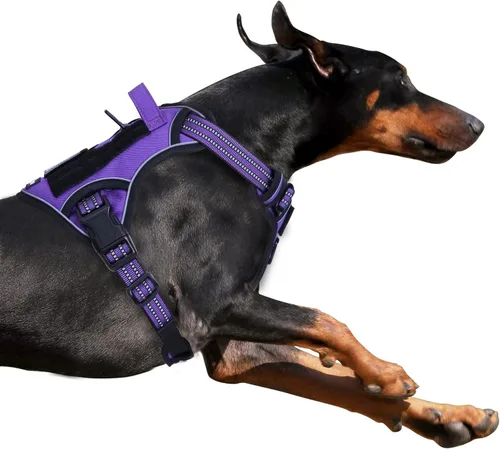Vista 17 de BUMBIN Arnés táctico para perros pequeños sin tirones, famoso arnés de TIK TOK sin tirones para cachorros, arnés reflectante inteligente para Negro