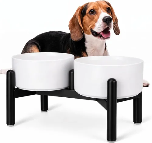 Vista 25 de Juego de cuencos elevados de cerámica para perros con soporte, 2 tazas de Negro