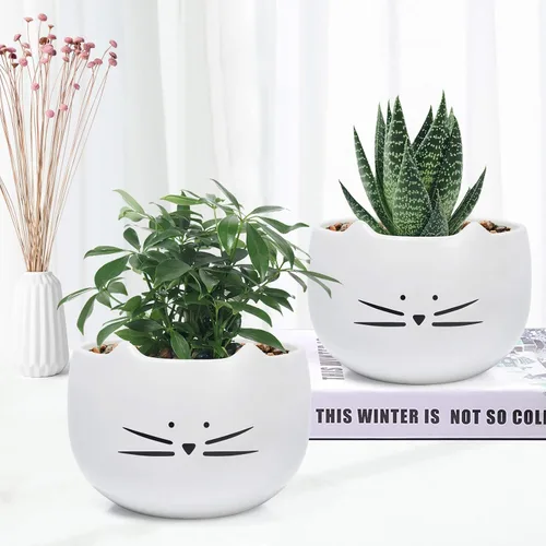 Vista 5 de Koolkatkoo Juego de 2 macetas para suculentas de 5.5 pulgadas con diseño de gatos