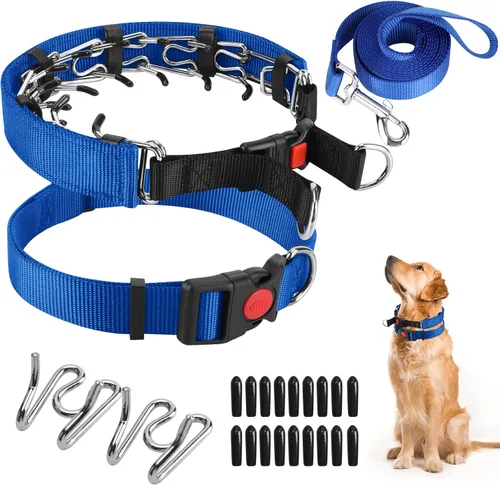 Vista 17 de Collar de entrenamiento de puntas con puntas cómodas y hebilla de cierre rápido – Collar de pellizco para perro con cubierta de nailon