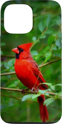 Vista 24 de Hermosa cardenal pájaro rojo escena de la naturaleza caso para iPhone 17
