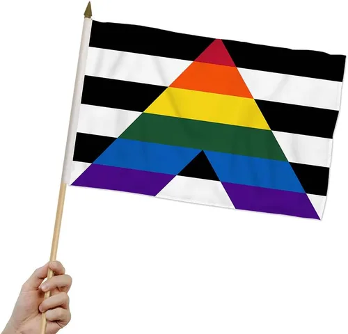 Vista 2 de Banderas de palo Gay Straight Alliance Ally Pride 12x18 - Paquete de una docena