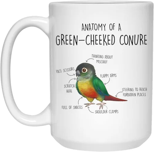 Vista 2 de Taza de café de mejillas conure, lindo regalo de loro para mascotas, amante de los pájaros, regalo divertido para ella, él, taza de mejilla verde