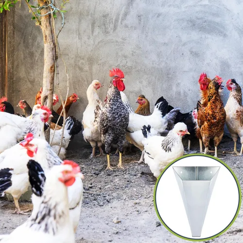 Vista 7 de Mumufy - Cono de pollo mediano, 4 unidades, acero galvanizado, cono