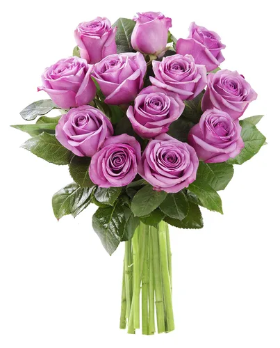 Vista 27 de KaBloom - Rosas arcoíris (media docena)- Flores frescas para cumpleaños, San Valentín y Día de la Madre