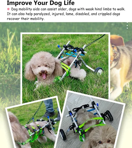 Vista 3 de Silla de ruedas ligera para perros mayores, carrito para silla de ruedas para mascotas con patas traseras discapacitadas para caminar, remolque