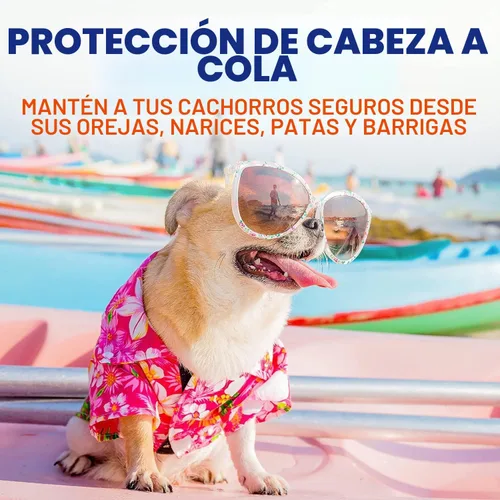 Vista 5 de Spray protector solar para perros, sin óxido de zinc, seguro para la piel y el pelaje, para todas las razas, 8 onzas Sun Protection Made Easy