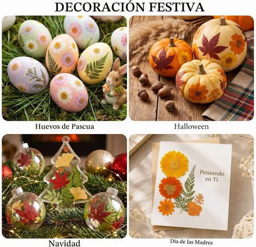 Vista 7 de 350 piezas de flores secas de otoño para manualidades, flores secas