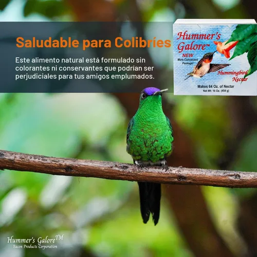 Vista 7 de Hummer's Galore Alimento para colibríes, néctar de colibrí listo para mezclar, fórmula colectora de néctar totalmente natural, sin conservantes ni