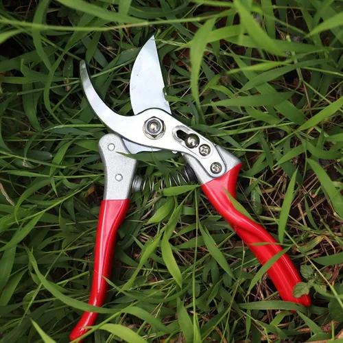 Vista 7 de Garden Shears - Tijeras de podar de mano profesionales, tijeras de podar de derivación resistentes (rojo)