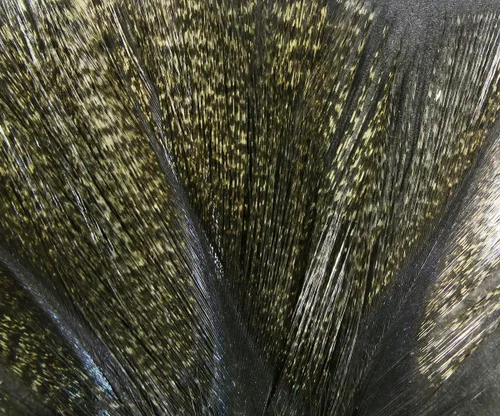 Vista 4 de Hareline Fly Tying Coq De Leon Feathers for Dry Fly Tails, Nymphs, and Euro Patterns Barrado moteado Aconchado