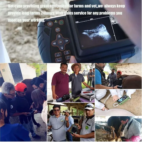 Vista 7 de DAWEI - Máquina de ultrasonido veterinaria para embarazo, escáner portátil de mano para veterinarios, ultrasonido B ligero con sonda impermeable