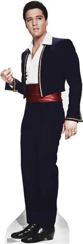 Vista 8 de Imágenes en cartón de Elvis Presley , talla única , Elvis 1