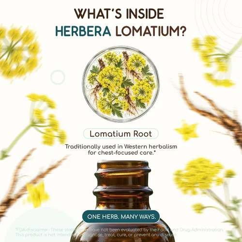 Vista 4 de HerbEra Lomatium B60 - Tintura de extracto de hierbas sin alcohol, gotas líquidas concentradas naturales Lomatium Dissectum 2 fl oz
