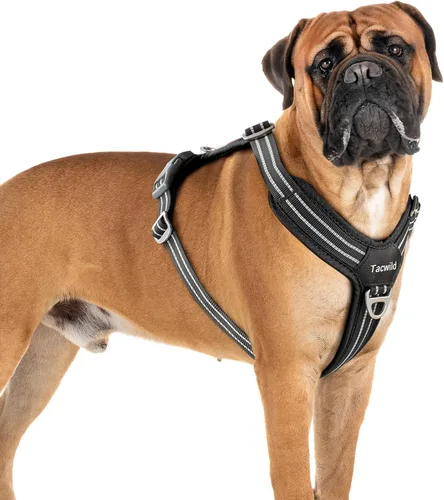 Vista 15 de Arnés sin tirones para perro, chaleco reflectante ajustable con broche de metal, malla suave transpirable sin estrangulamiento para cachorro, fácil