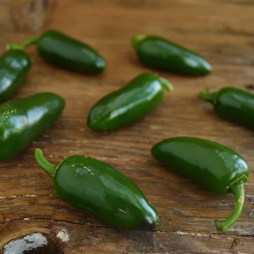 Vista 5 de Jalapeño Pimienta chile suave - 25 semillas - Variedad de reliquia y polinizada abierta, jalapeño domado, semillas de chile cultivadas en Estados