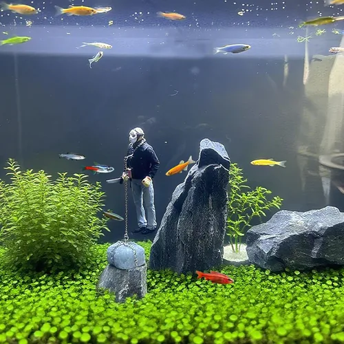 Vista 7 de Decoración flotante para pecera, adorno flotante hecho a mano para pecera, diseño único, carácter vivo, perfecto para paisaje de acuario