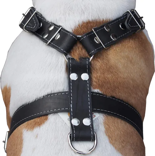 Vista 4 de Arnés para perro de cuero genuino negro grande. 30-35 pecho, 1.5 correas anchas Pitbull, Boxer