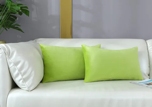 Vista 51 de mixeoo Comfy - Juego de 2 fundas de almohada decorativas de terciopelo grueso sólido y grueso, súper suaves, decoración del hogar para sofá, sala