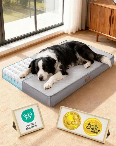 Vista 29 de OhGeni Cama ortopédica para perros pequeños, espuma viscoelástica 01-gris