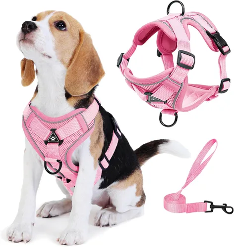 Vista 10 de Arnés para perro Jolifield sin tirones con juego de correa para perros pequeños, arnés de chaleco para gatos con clip frontal ajustable reflectante