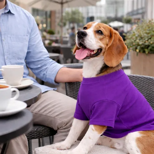 Vista 24 de Lovelonglong 2019 - Ropa para mascotas, Disfraces para Perro, Ropa Camisetas en blanco para Perros Grande Medianos Pequeños 100% Algodón 18