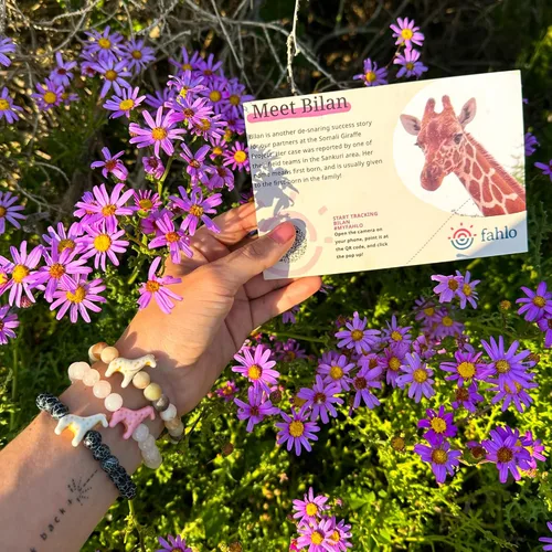Vista 3 de Fahlo Pulsera de seguimiento de jirafa – Sigue el viaje de una jirafa real – Apoya la conservación de la vida silvestre – Elástica, talla única