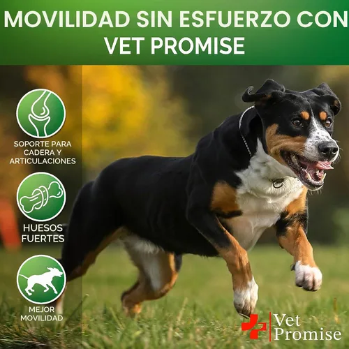 Vista 4 de Glucosamina para perros - Suplemento de cadera y articulaciones para perros