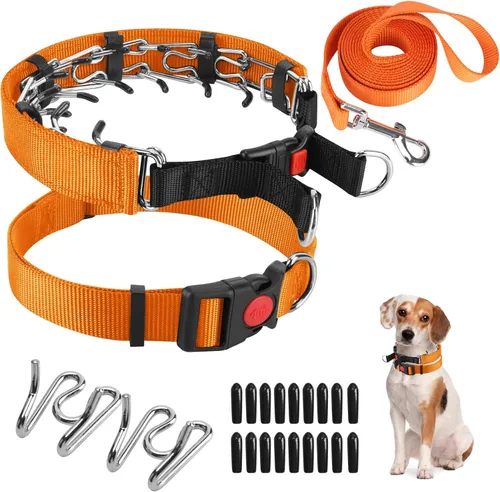 Vista 7 de Collar de entrenamiento de puntas con puntas cómodas y hebilla de cierre rápido – Collar de pellizco para perro con cubierta de nailon