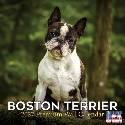 Vista 98 de Calendario de Lebrel Afgano 2025 2026, calendario mensual de pared de raza canina, 12" x 18" abierto, papel grueso sin traspaso, ideal para regalo