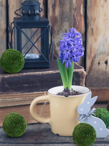 Vista 6 de Biubee - 12 bolas decorativas de musgo para tazones y jarrones, 2.2 pulgadas Fake but Realistic/No Odor, Add a Nice Outdoorsy/Nature Feel to The