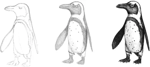 Vista 3 de Faber-Castell – Kit de dibujo y boceto para niños – Artesanías premium para niños