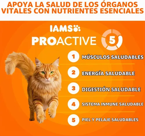 Vista 3 de IAMS Proactive Health Healthy Adult Dry Cat Food, Chicken, 3.5 lb Recomendado por veterinarios, ingrediente de pollo real #1, proteína de pollo