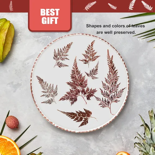 Vista 6 de ALJ Hojas de helechos secos, 42 hojas de helecho prensadas de color rojo natural, hojas prensadas para plantas reales para arte de resina