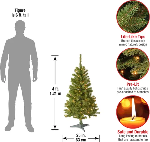 Vista 3 de árbol envuelto abeto Canadian Grande de National Tree con 300 multiluces